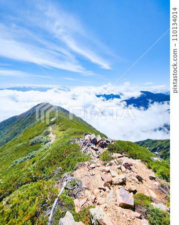 Summer Mt. Jonen climbing (Mae Jonendake - Jonendake: Sea of clouds) 110134014