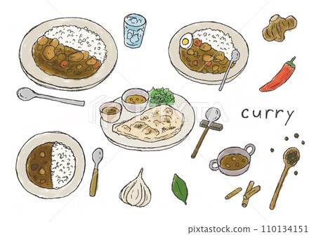 Hand-drawn illustration set of curry rice and naan (color) 110134151