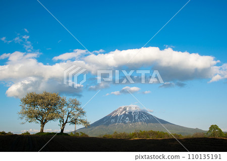 羊蹄山、雲彩和雙生樹 羊蹄山、雲彩和雙生樹 110135191