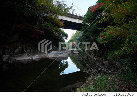河內谷 110135369