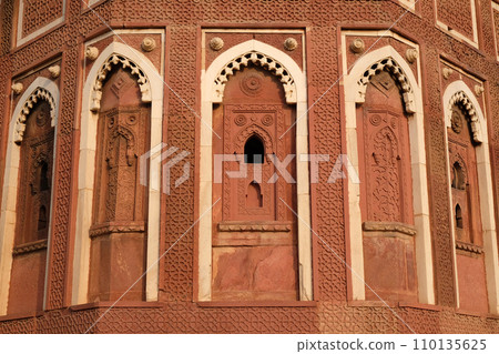 Unique architectural details of Red Fort, Agra, UNESCO World heritage site, India Unique architectural details of Red Fort, Agra, UNESCO World heritage site, India 110135625