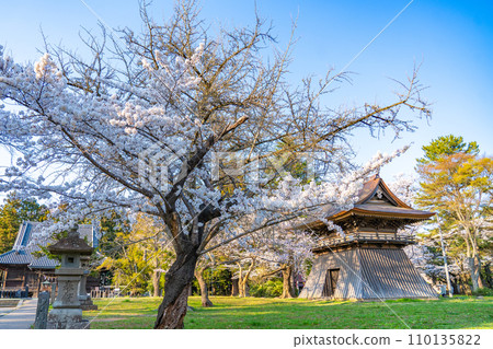 Mutsu Kokubunji Yakushido Bell Tower Spring cherry blossoms in full bloom Sendai City, Miyagi Prefecture 110135822