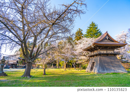 Mutsu Kokubunji Yakushido Bell Tower Spring cherry blossoms in full bloom Sendai City, Miyagi Prefecture Mutsu Kokubunji Yakushido Bell Tower Spring cherry blossoms in full bloom Sendai City, Miyagi Prefecture 110135823