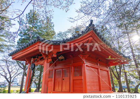 陸奧國分寺藥師堂純慶觀音堂 宮城縣仙台市春天的櫻花盛開 陸奧國分寺藥師堂純慶觀音堂 宮城縣仙台市春天的櫻花盛開 110135925