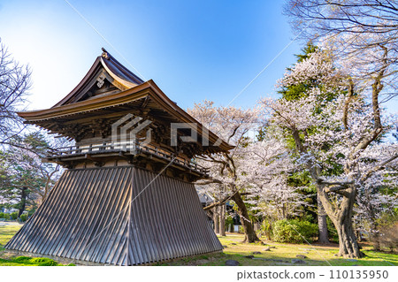 陸奧國分寺藥師堂鐘樓 宮城縣仙台市春天的櫻花盛開 陸奧國分寺藥師堂鐘樓 宮城縣仙台市春天的櫻花盛開 110135950