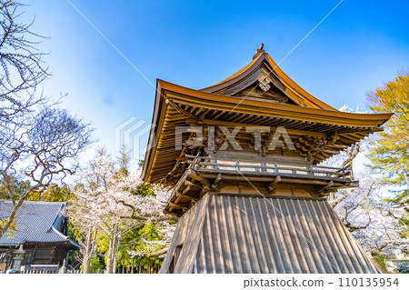 陸奧國分寺藥師堂鐘樓 宮城縣仙台市春天的櫻花盛開 110135954