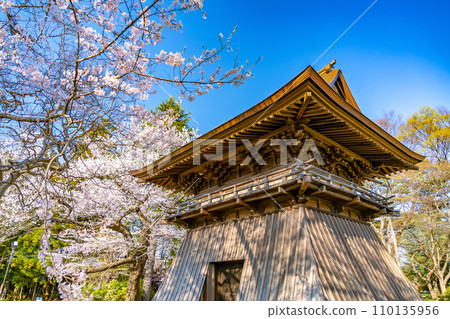 陸奧國分寺藥師堂鐘樓 宮城縣仙台市春天的櫻花盛開 陸奧國分寺藥師堂鐘樓 宮城縣仙台市春天的櫻花盛開 110135956