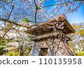 Mutsu Kokubunji Yakushido Bell Tower Spring cherry blossoms in full bloom Sendai City, Miyagi Prefecture Mutsu Kokubunji Yakushido Bell Tower Spring cherry blossoms in full bloom Sendai City, Miyagi Prefecture 110135958