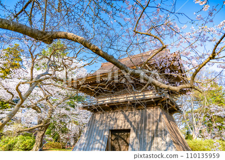陸奧國分寺藥師堂鐘樓 宮城縣仙台市春天的櫻花盛開 110135959