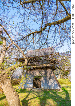 陸奧國分寺藥師堂鐘樓 宮城縣仙台市春天的櫻花盛開 110135961