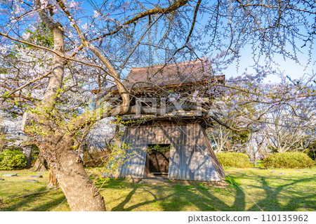 陸奧國分寺藥師堂鐘樓 宮城縣仙台市春天的櫻花盛開 陸奧國分寺藥師堂鐘樓 宮城縣仙台市春天的櫻花盛開 110135962