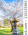 Mutsu Kokubunji Yakushido Spring cherry blossoms in full bloom Sendai City, Miyagi Prefecture Mutsu Kokubunji Yakushido Spring cherry blossoms in full bloom Sendai City, Miyagi Prefecture 110135963