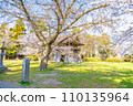 Mutsu Kokubunji Yakushido Bell Tower Spring cherry blossoms in full bloom Sendai City, Miyagi Prefecture Mutsu Kokubunji Yakushido Bell Tower Spring cherry blossoms in full bloom Sendai City, Miyagi Prefecture 110135964