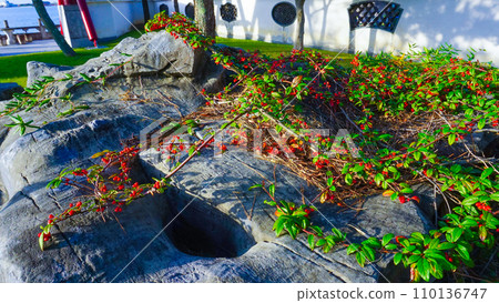 Chinese Garden Enchoen Yurihama Town, Tohaku District, Tottori Prefecture 110136747