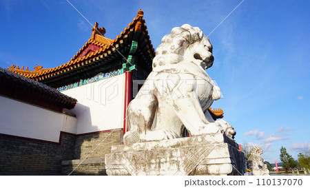 lion in chinese garden lion in chinese garden 110137070