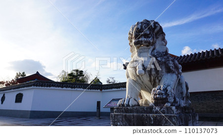 lion in chinese garden lion in chinese garden 110137073