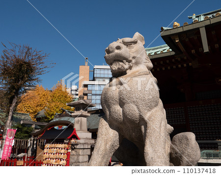 Tokyo Kanda Myojin dog Tokyo Kanda Myojin dog 110137418