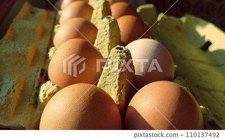 Chicken eggs in a carton. Beige eggs in a container when illuminated by spring sunlight. Ingredients. Agricultural products. Farm food. Proper protein nutrition. Recycled packaging. Demography concept Chicken eggs in a carton. Beige eggs in a container when illuminated by spring sunlight. Ingredients. Agricultural products. Farm food. Proper protein nutrition. Recycled packaging. Demography concept 110137492