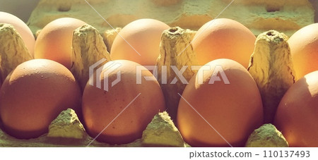 Chicken eggs in a carton. Beige eggs in a container when illuminated by spring sunlight. Ingredients. Agricultural products. Farm food. Proper protein nutrition. Recycled packaging. Demography concept Chicken eggs in a carton. Beige eggs in a container when illuminated by spring sunlight. Ingredients. Agricultural products. Farm food. Proper protein nutrition. Recycled packaging. Demography concept 110137493