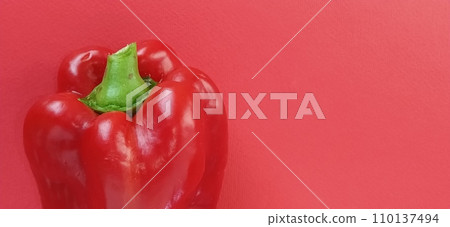Red bell pepper paprika on red background. One vegetable standing upright Red bell pepper paprika on red background. One vegetable standing upright 110137494