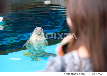 Asahiyama Zoo Seal 110137526