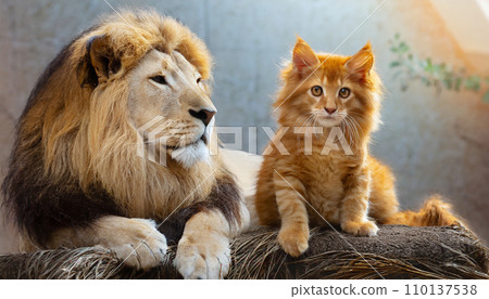 獅子和貓（AI 生成圖像） 110137538
