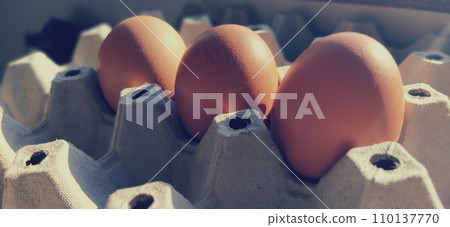 Chicken eggs in a carton. Beige eggs in a container when illuminated by spring sunlight. Ingredients. Agricultural products. Farm food. Proper protein nutrition. Recycled packaging. Demography concept Chicken eggs in a carton. Beige eggs in a container when illuminated by spring sunlight. Ingredients. Agricultural products. Farm food. Proper protein nutrition. Recycled packaging. Demography concept 110137770