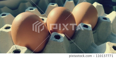 Chicken eggs in a carton. Beige eggs in a container when illuminated by spring sunlight. Ingredients. Agricultural products. Farm food. Proper protein nutrition. Recycled packaging. Demography concept Chicken eggs in a carton. Beige eggs in a container when illuminated by spring sunlight. Ingredients. Agricultural products. Farm food. Proper protein nutrition. Recycled packaging. Demography concept 110137771
