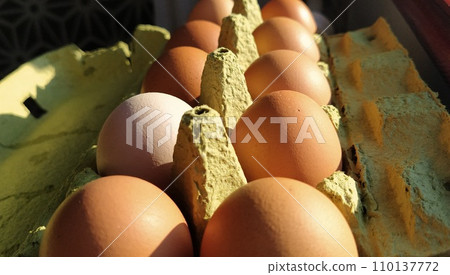 Chicken eggs in a carton. Beige eggs in a container when illuminated by spring sunlight. Ingredients. Agricultural products. Farm food. Proper protein nutrition. Recycled packaging. Demography concept 110137772