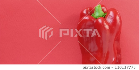 Red bell pepper paprika on red background. One vegetable standing upright 110137773
