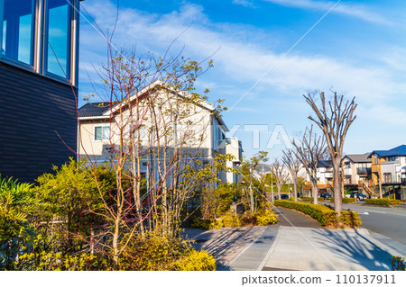 新郊區獨棟住宅小區 110137911