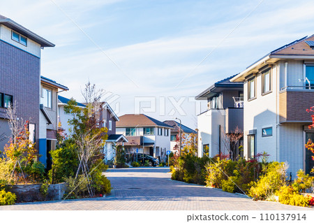 新郊區獨棟住宅小區 110137914