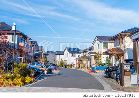 新郊區獨棟住宅小區 110137915