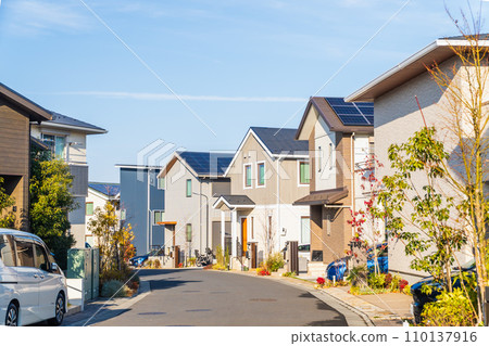 新郊區獨棟住宅小區 110137916