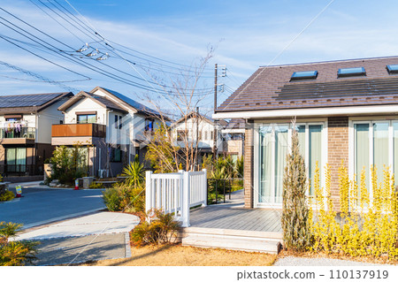 新郊區獨棟住宅小區 110137919