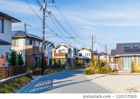 新郊區獨棟住宅小區 110137920