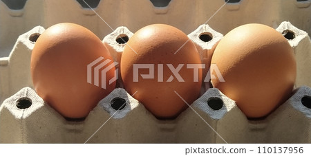 Chicken eggs in a carton. Beige eggs in a container when illuminated by spring sunlight. Ingredients. Agricultural products. Farm food. Proper protein nutrition. Recycled packaging.Demography concept. Chicken eggs in a carton. Beige eggs in a container when illuminated by spring sunlight. Ingredients. Agricultural products. Farm food. Proper protein nutrition. Recycled packaging.Demography concept. 110137956