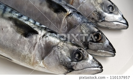 fresh fish with heads on a light background. Three fish were brought from the store and ready to be cut. Sea food fresh fish with heads on a light background. Three fish were brought from the store and ready to be cut. Sea food 110137957