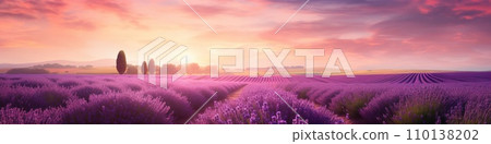 AI-generated content. Blooming lavender field during lovely summer sunset, banner concept 110138202