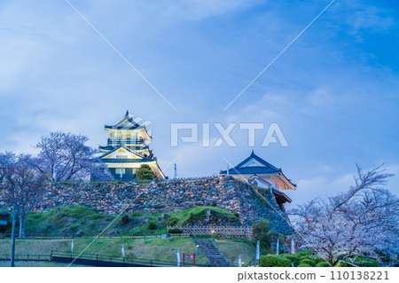 （靜岡縣）櫻花盛開的濱松城夜景 110138221