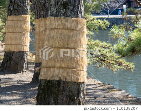 "Komomaki". Traditional pest control methods. "Komomaki". Traditional pest control methods. 110139207