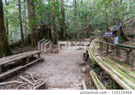 屋久島白谷雲水峽地區的白谷小屋 屋久島白谷雲水峽地區的白谷小屋 110139468