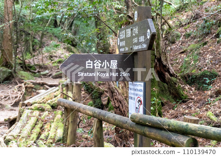 屋久島白谷雲水峽地區的白谷小屋 屋久島白谷雲水峽地區的白谷小屋 110139470
