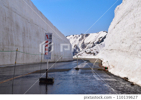 Tateyama Snow的大谷 Tateyama Snow的大谷 110139627