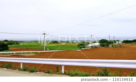 Plowed red soil sugarcane field on Yoron Island, Kagoshima Prefecture Plowed red soil sugarcane field on Yoron Island, Kagoshima Prefecture 110139918