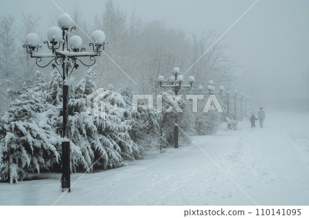 woman mom and child son walk along alley in the park in winter with snow and fog woman mom and child son walk along alley in the park in winter with snow and fog 110141095