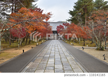 仁和寺,秋天的正殿參道 仁和寺,秋天的正殿參道 110141165