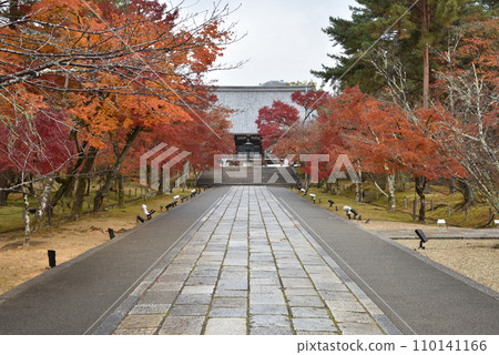 仁和寺,秋天的正殿參道 仁和寺,秋天的正殿參道 110141166