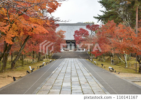 仁和寺,秋天的正殿參道 仁和寺,秋天的正殿參道 110141167