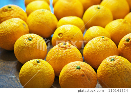 我把我花園裡的橘子放在桌上(冬天,十二月)。 我把我花園裡的橘子放在桌上(冬天,十二月)。 110141524